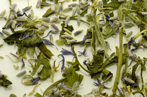 Lavender Green and White Tea